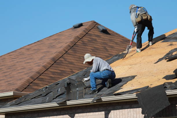 Best Gutter Installation and Repair  in Monticello, AR