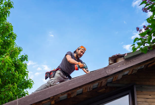 Best Roof Replacement  in Monticello, AR